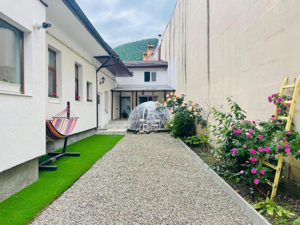 Schei Brasov-Скей Брашов Apartment Exterior photo
